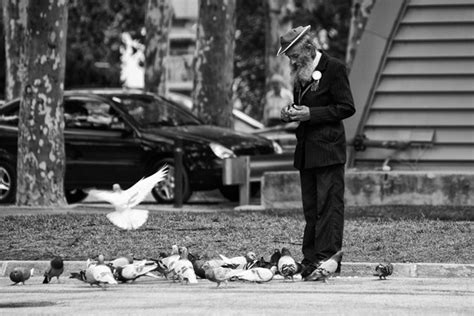  El Hombre de las Palomas สัมผัสอารมณ์แห่งความโดดเดี่ยวและความฝันกลางเมืองโบราณ!