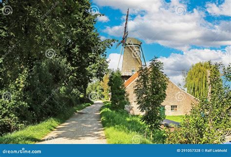 The Garden at Oude Molen - น portraiture ของความงดงามและชีวิตชนบทอันรื่นรมย์!